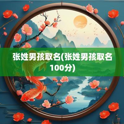 张姓男孩取名(张姓男孩取名100分)