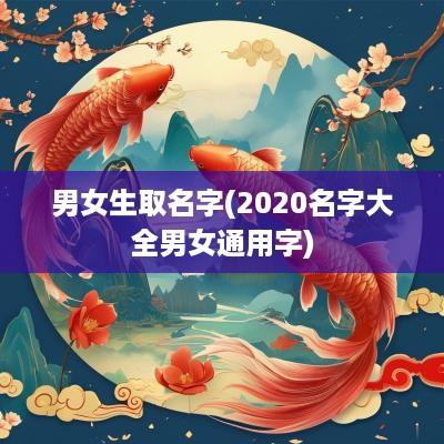 男女生取名字(2025名字大全男女通用字)
