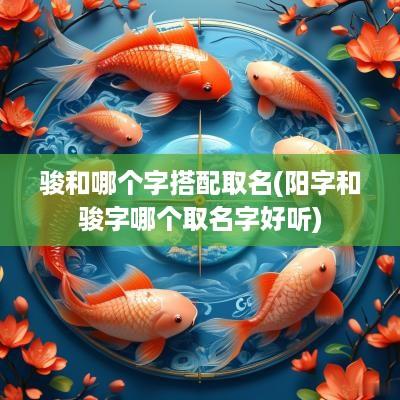 骏和哪个字搭配取名(阳字和骏字哪个取名字好听)
