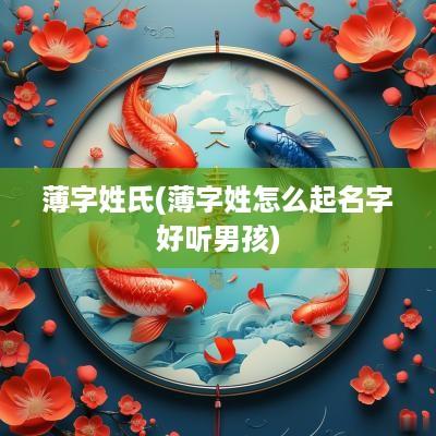 薄字姓氏(薄字姓怎么起名字好听男孩)