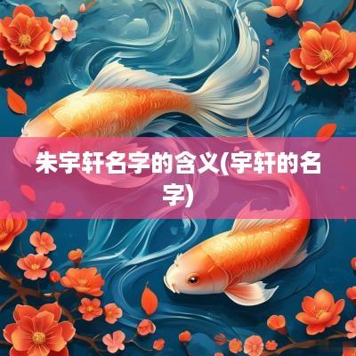 朱宇轩名字的含义(宇轩的名字)