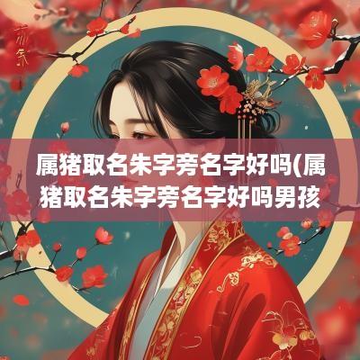 属猪取名朱字旁名字好吗(属猪取名朱字旁名字好吗男孩)