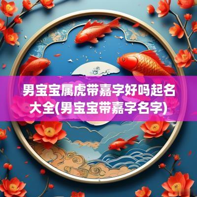 男宝宝属虎带嘉字好吗起名大全(男宝宝带嘉字名字)