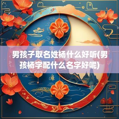 男孩子取名姓杨什么好听(男孩杨字配什么名字好呢)