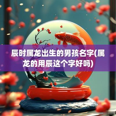 辰时属龙出生的男孩名字(属龙的用辰这个字好吗)