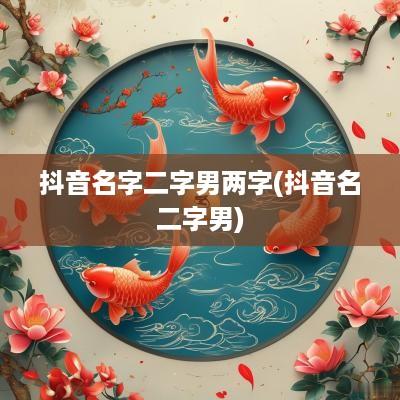 抖音名字二字男两字(抖音名二字男)