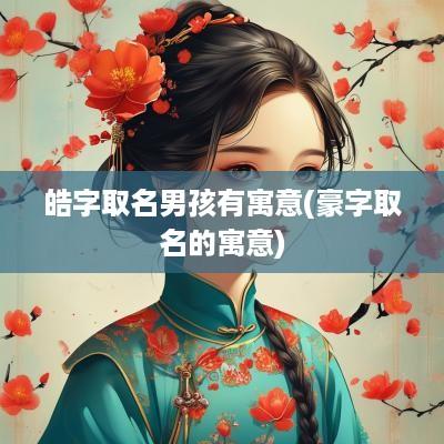 皓字取名男孩有寓意(豪字取名的寓意)