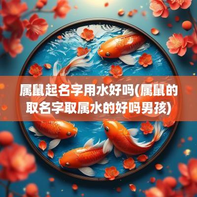 属鼠起名字用水好吗(属鼠的取名字取属水的好吗男孩)