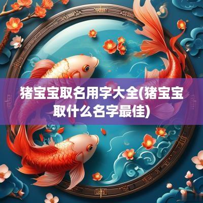 猪宝宝取名用字大全(猪宝宝取什么名字最佳)