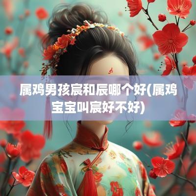 属鸡男孩宸和辰哪个好(属鸡宝宝叫宸好不好)