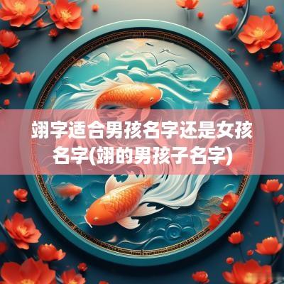 翊字适合男孩名字还是女孩名字(翊的男孩子名字)