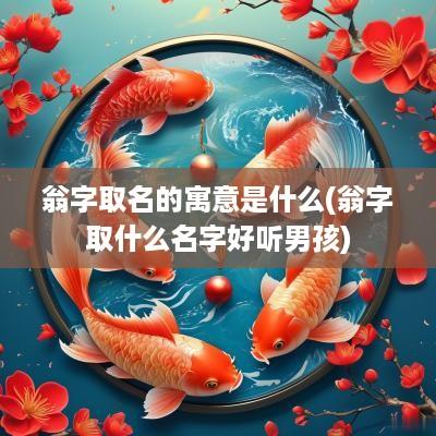 翁字取名的寓意是什么(翁字取什么名字好听男孩)