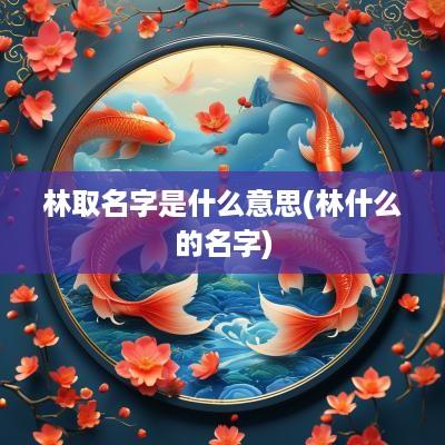 林取名字是什么意思(林什么的名字)
