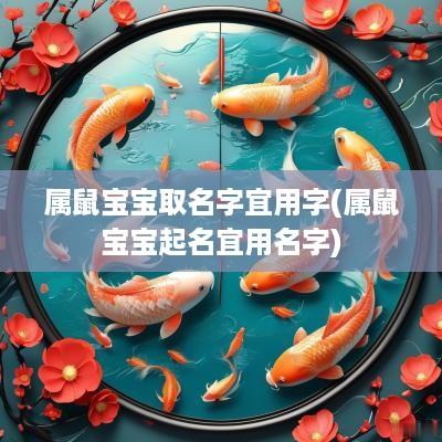 属鼠宝宝取名字宜用字(属鼠宝宝起名宜用名字)