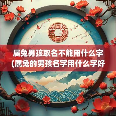 属兔男孩取名不能用什么字(属兔的男孩名字用什么字好)