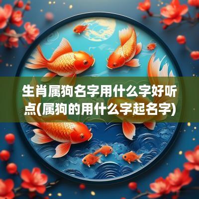 生肖属狗名字用什么字好听点(属狗的用什么字起名字)