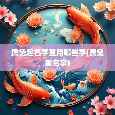 属兔起名字宜用哪些字(属兔取名字)