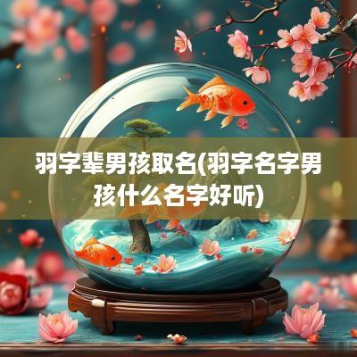 羽字辈男孩取名(羽字名字男孩什么名字好听)