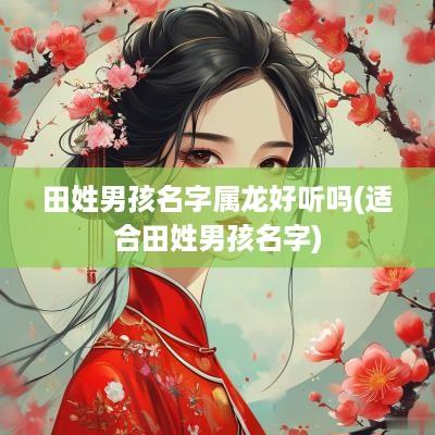 田姓男孩名字属龙好听吗(适合田姓男孩名字)