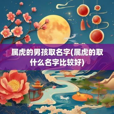 属虎的男孩取名字(属虎的取什么名字比较好)