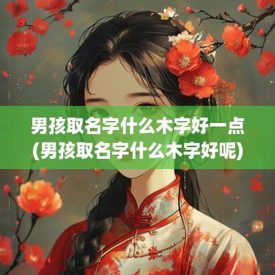 男孩取名字什么木字好一点(男孩取名字什么木字好呢)