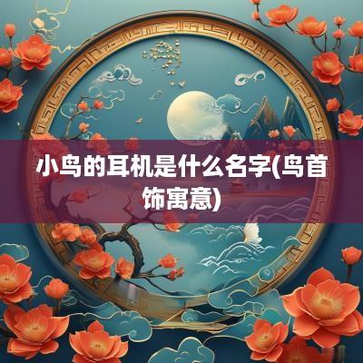 小鸟的耳机是什么名字(鸟首饰寓意)