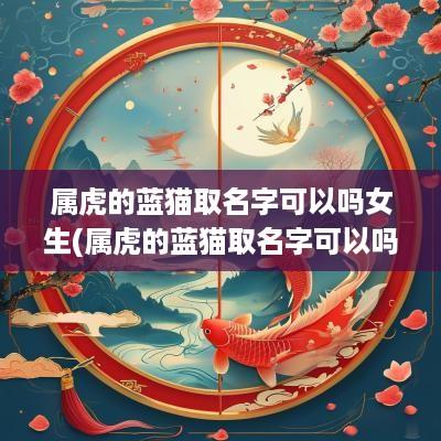 属虎的蓝猫取名字可以吗女生(属虎的蓝猫取名字可以吗女孩)