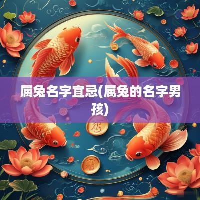 属兔名字宜忌(属兔的名字男孩)