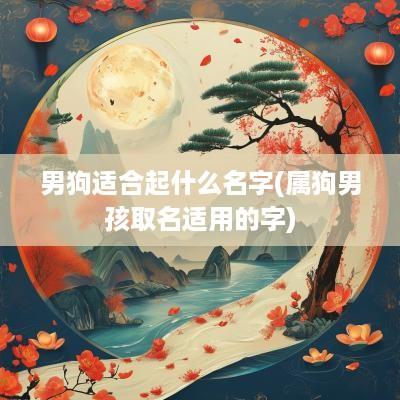 男狗适合起什么名字(属狗男孩取名适用的字)