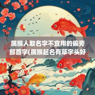 属猴人取名字不宜用的偏旁部首字(属猴起名有草字头好吗男孩子名字)