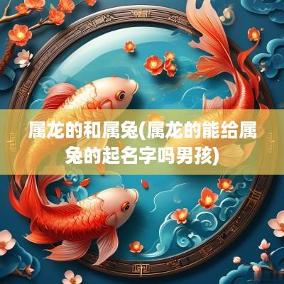 属龙的和属兔(属龙的能给属兔的起名字吗男孩)