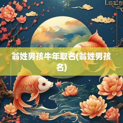 翁姓男孩蛇年取名(翁姓男孩名)