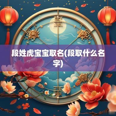 段姓虎宝宝取名(段取什么名字)