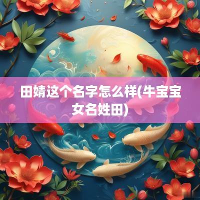 田婧这个名字怎么样(牛宝宝女名姓田)