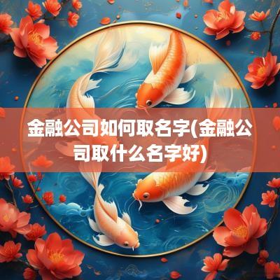 金融公司如何取名字(金融公司取什么名字好)