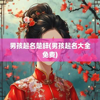男孩起名楚辞(男孩起名大全免费)