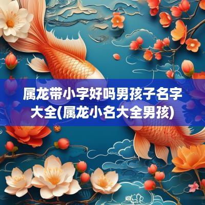 属龙带小字好吗男孩子名字大全(属龙小名大全男孩)