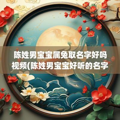 陈姓男宝宝属兔取名字好吗视频(陈姓男宝宝好听的名字)