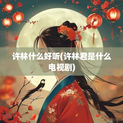 许林什么好听(许林君是什么电视剧)