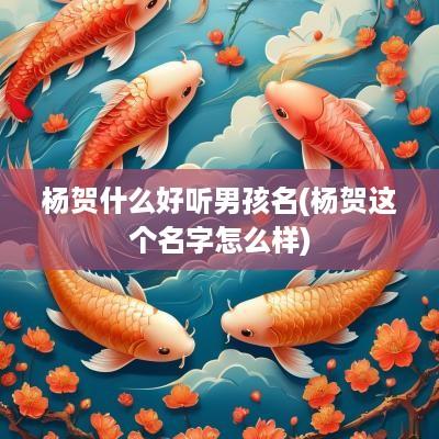 杨贺什么好听男孩名(杨贺这个名字怎么样)