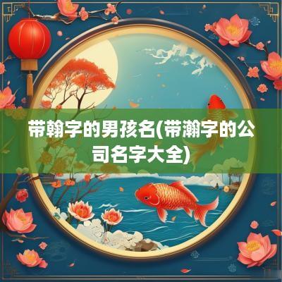 带翰字的男孩名(带瀚字的公司名字大全)