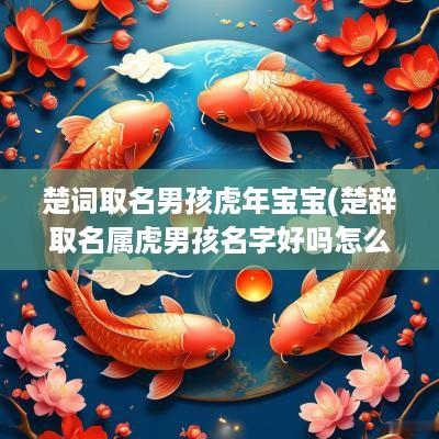 楚词取名男孩蛇年宝宝(楚辞取名属虎男孩名字好吗怎么取)
