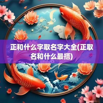 正和什么字取名字大全(正取名和什么最搭)