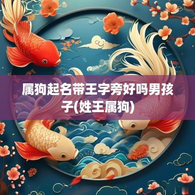 属狗起名带王字旁好吗男孩子(姓王属狗)