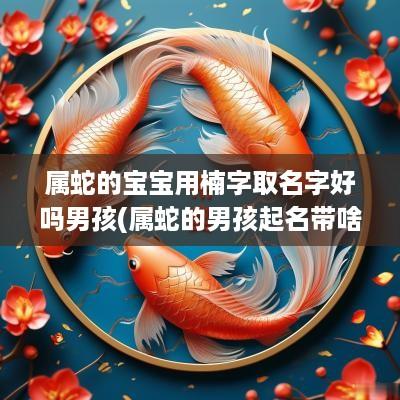 属蛇的宝宝用楠字取名字好吗男孩(属蛇的男孩起名带啥字好)
