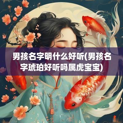 男孩名字明什么好听(男孩名字琥珀好听吗属虎宝宝)