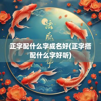 正字配什么字成名好(正字搭配什么字好听)