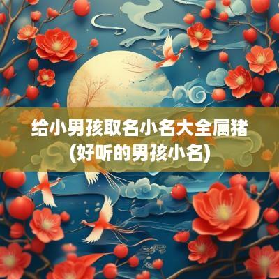 给小男孩取名小名大全属猪(好听的男孩小名)