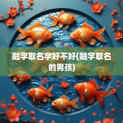 融字取名字好不好(融字取名的男孩)