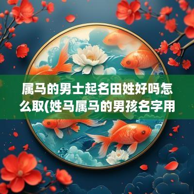 属马的男士起名田姓好吗怎么取(姓马属马的男孩名字用什么字好)